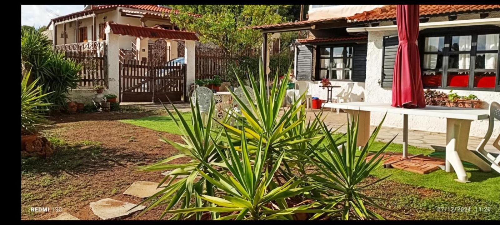 Phedra'S House Spata- Artemida Exterior foto